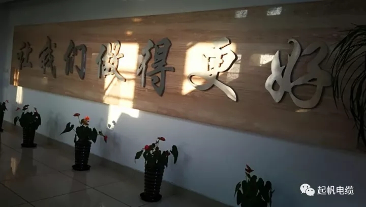 第六届金山区区长质量奖公布，乐竟体育周供华榜上有名